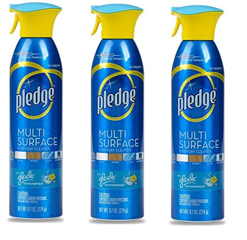 Pledge Multi Surface