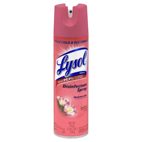 Lysol Disinfectant S