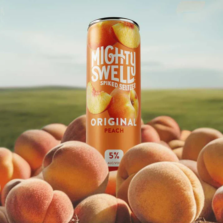 Mighty Swell Spiked Seltzer